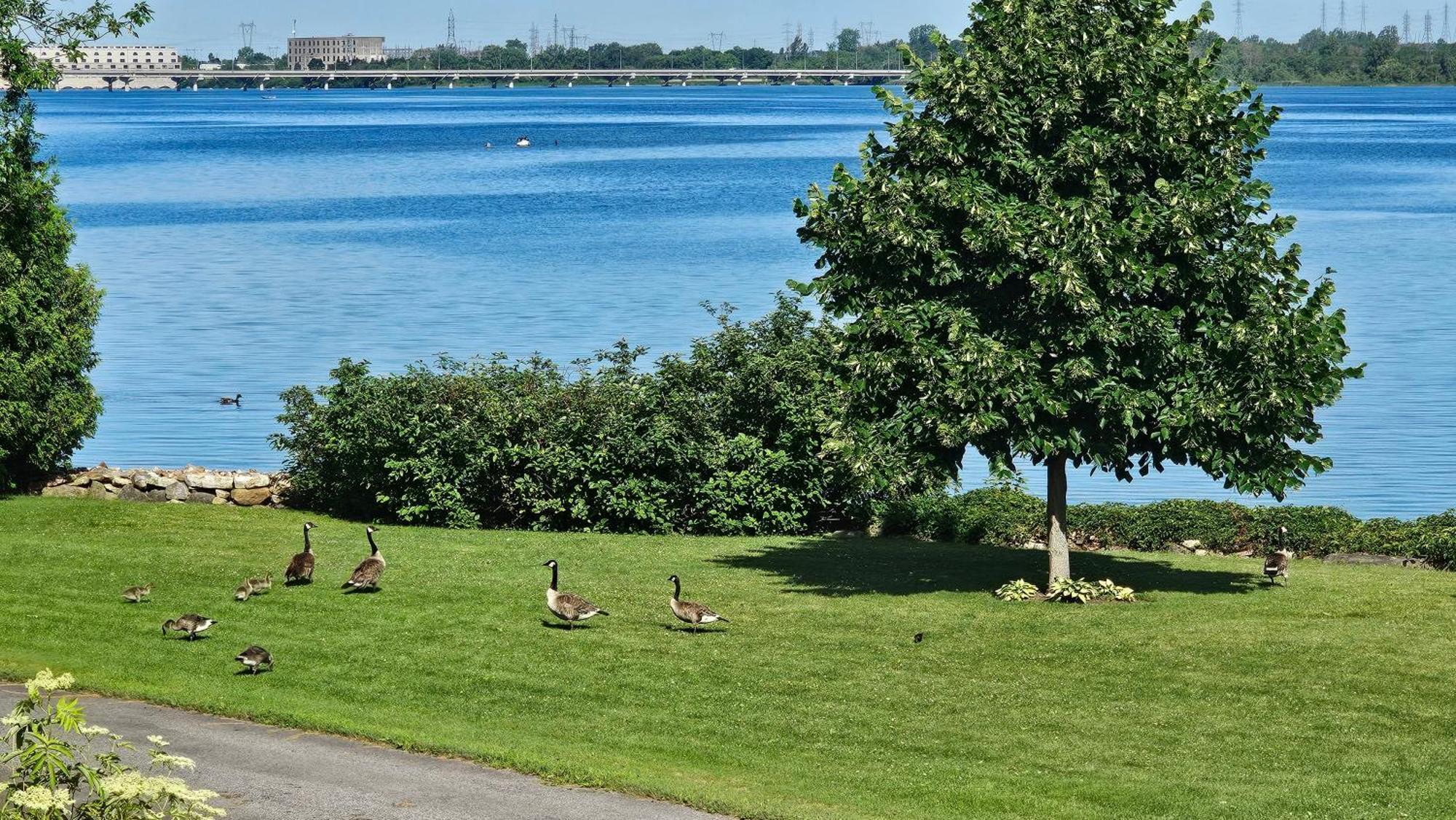 Oasis St-louis Salaberry-de-Valleyfield