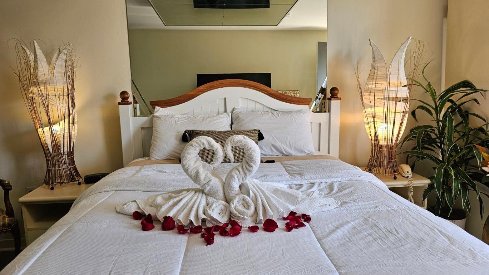 Oasis St-louis 2*
