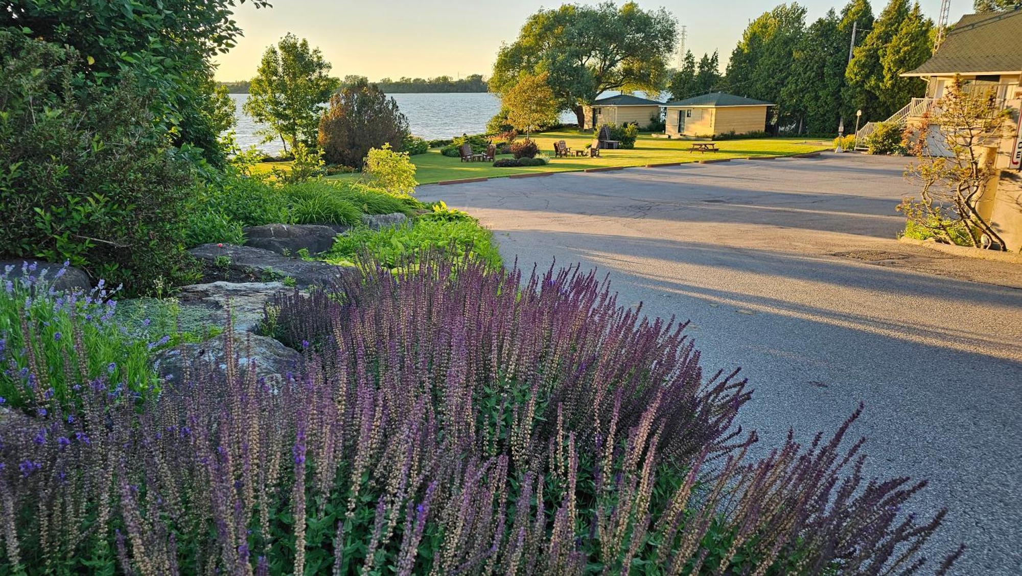 Oasis St-louis Salaberry-de-Valleyfield